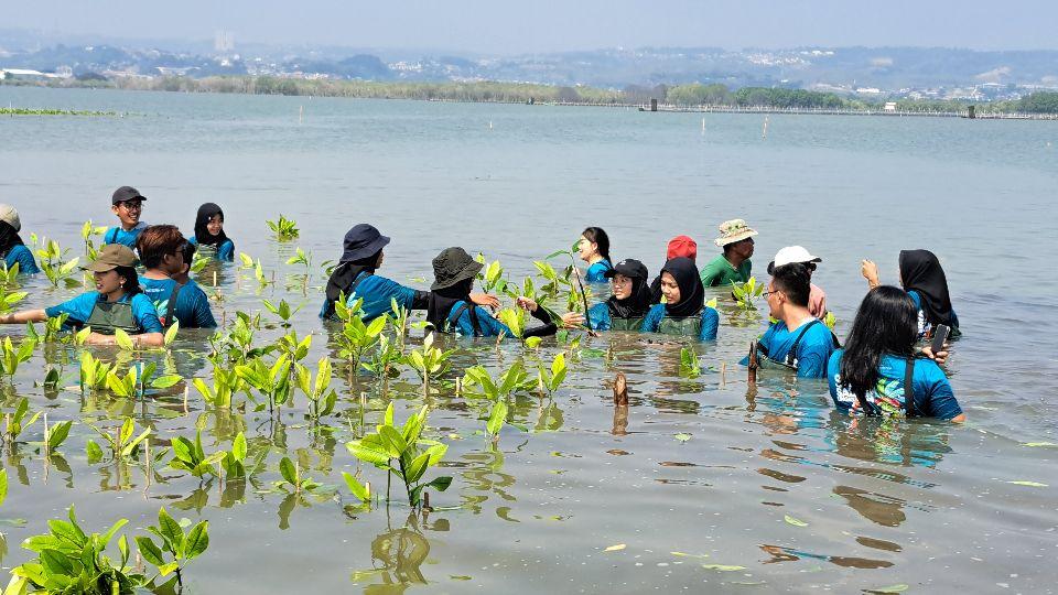 Mahsiswa dari berbagai kampus bersama BLDF menanam mangrove di pesisir Mangkang Wetan, Semarang. (baihaqi/jatengtoday.com)